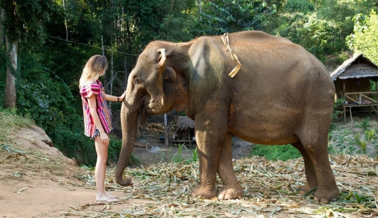 Circuit Thaïlande Cambodge Vietnam 4 semaines : Symphonie de cultures