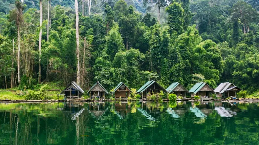 Chiang Mai - Vol pour Surat Thani - Khao Sok Tour collectif avec guide anglophone (à Khao Sok)