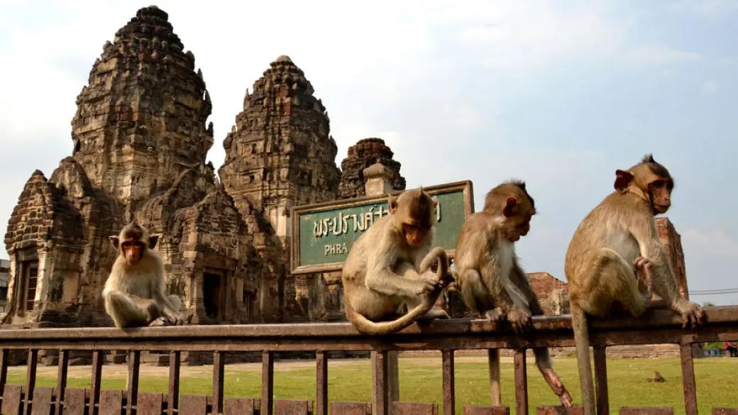 Ayutthaya – Lopburi – Uthai Thani