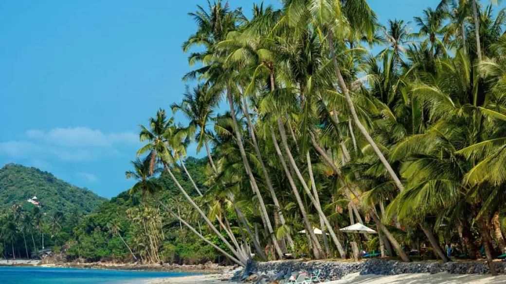 Koh Samui – Temps libre