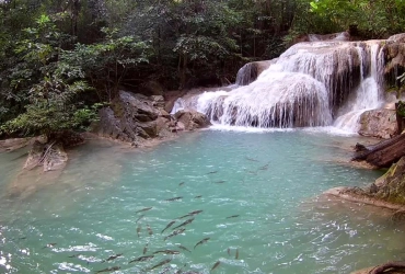 Kanchanaburi – Chutes d’Erawan – Grotte de Phra That (B)