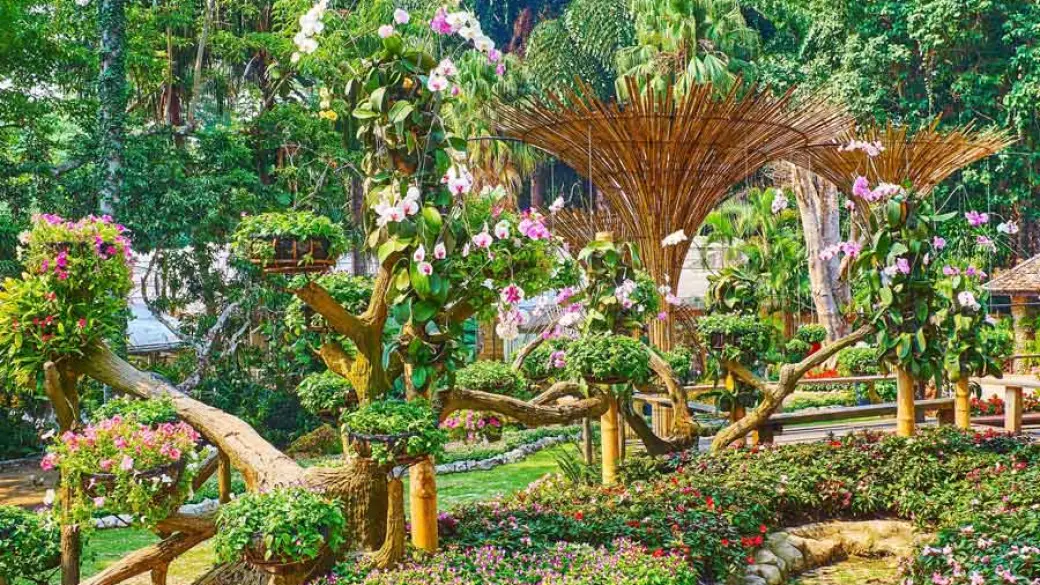 Chiang Rai – Parc national de Doi Inthanon