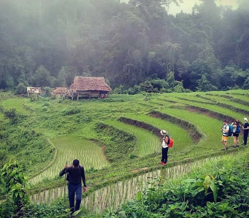 Rizières près de Thaton, dans le Nord