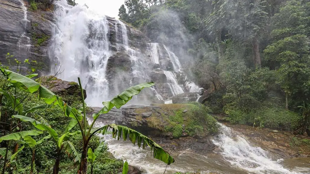 Chiang Mai - Vol pour Suratthani - Khao Sok - Activité optionnelle Tour collectif avec guide anglophone