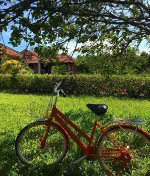 Itinéraire de vélo à Hué une journée : Visite du village de Thuy Bieu