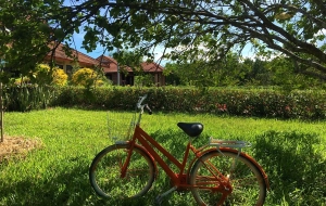 Visite à vélo du village de Thuy Bieu