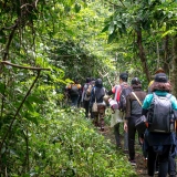 Une journée de randonnée à Hué : Trekking dans le parc national de Bach Ma