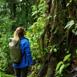 Une journée de randonnée à Hué : Trekking dans le parc national de Bach Ma