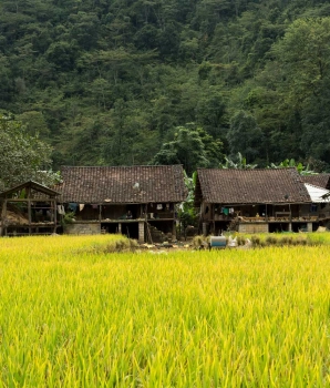 Trekking à Cao Bang 4 jours 3 nuits : Submergé par les chutes