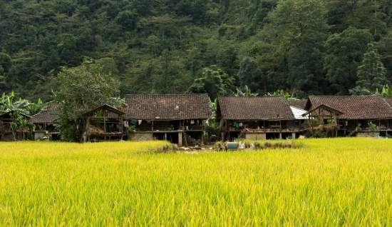 Trekking à Cao Bang 4 jours 3 nuits : Submergé par les chutes