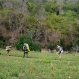 Excursion 1 jour à Sa Pa : Parc national de Hoang Lien