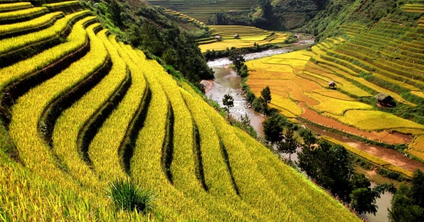 Visite la vallée de Muong Hoa : exploration Sa Pa 1 jour