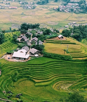 Trekking à Sapa 1 jour : Randonnée dans le village de l'ethnie Dao rouge