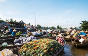 Exploration du marché flottant de Cai Rang