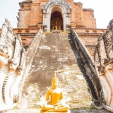 Wat Chedi Luang tour 1 jour