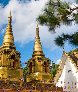 Une journée à Chiang Rai : Randonnée à Doi Tung