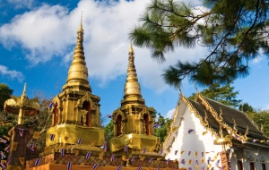 Wat Phra That Doi Tung et la villa royale Doi Tung tour 1 jour