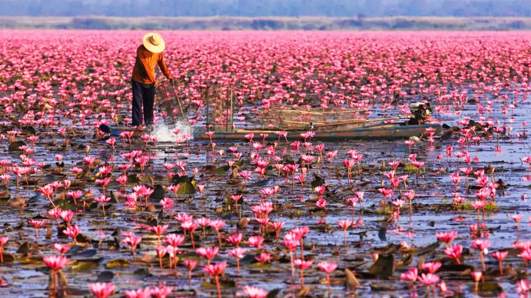 Nakhon Phanom – Sakhon Nakon – Udon Thani