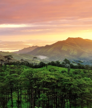 Mini circuit à Uttaradit : Parc national de Phu Soi Dao et cascade de Mae Phun