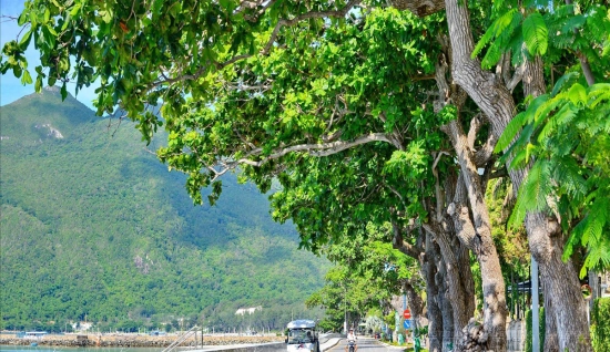 Excursion à Con Dao 2 jours 1 nuit