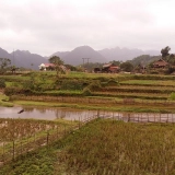 5 jours de trek à Ngo Luong - Ngoc Son : Au coeur de la nature