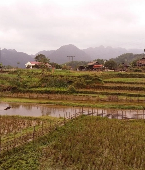 5 jours de trek à Ngo Luong - Ngoc Son : Au coeur de la nature