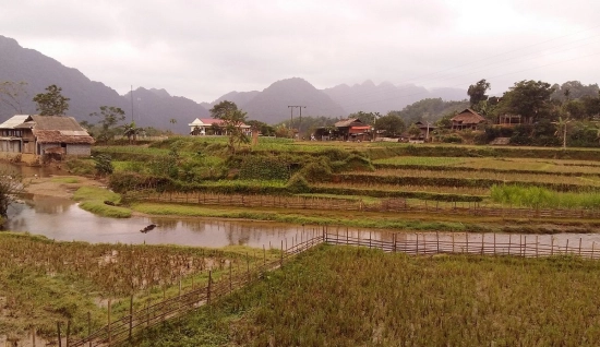 5 jours de trek à Ngo Luong - Ngoc Son : Au coeur de la nature