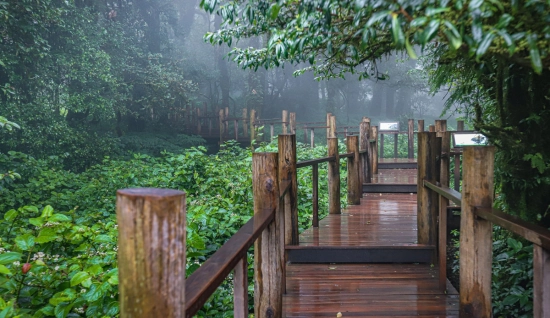 Randonnée à Chiang Mai 3 jours : Périple nature et culture à Doi Inthanon