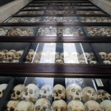 Phnom Penh - Siem Reap 3 jours : Histoire et Nature