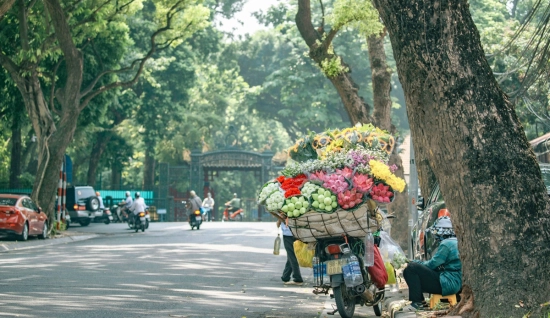 Voyage de luxe au Vietnam 2 semaines : Des rizières à la mer