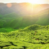 Voyage 2 Semaines à Langkawi : Nature, Culture et Sites Inoubliables au Nord de la Malaisie