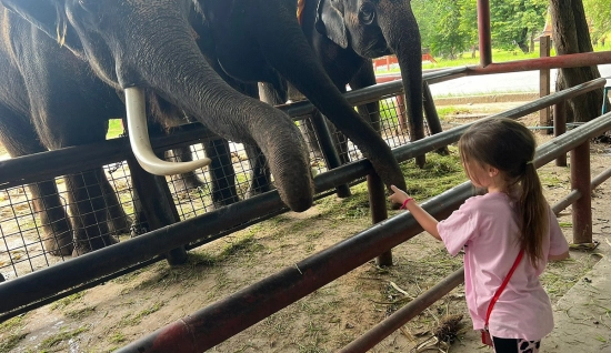 Circuit une journée à Ayutthaya : Temples et histoire