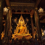Demi-journée à Lopburi : Visite le temple des singes