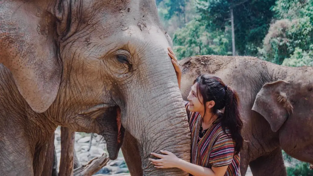 Chiang Mai – Temps libre