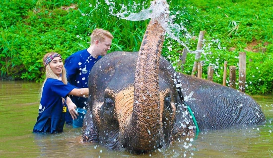 Voyage Thaïlande 2 semaines : Entre temples, nature et plages