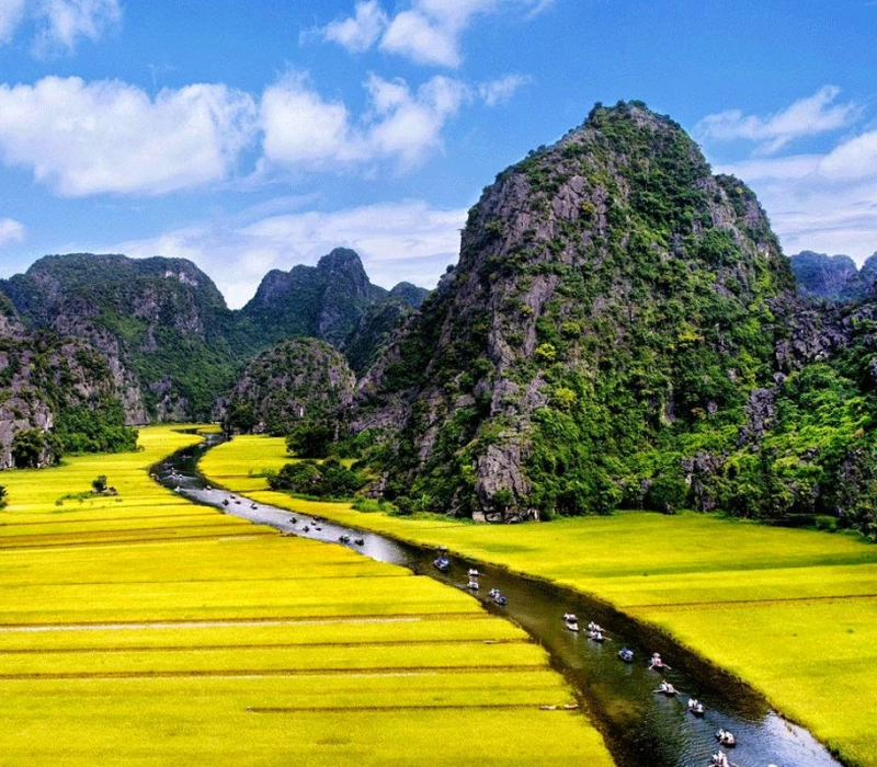 Rizières en terrasses au Vietnam