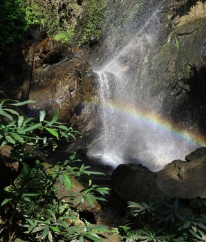 3 jours à Chiang Mai: Randonnée au parc national Huay Nam Dang