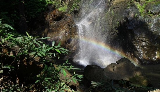 3 jours à Chiang Mai: Randonnée au parc national Huay Nam Dang