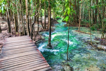 Excursion dans la Forêt Tropicale de Krabi (B/-/-)