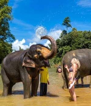 4 jours à Khao Lak et Khao Sok:  expérience inoubliable au Sud Thaïlande