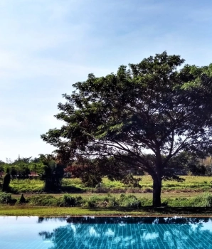 Visite Mae Hong Son et Pai 3 jours : Nature, culture et détente