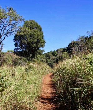 Trekking Mondulkiri 4 jours : Évasion naturelle