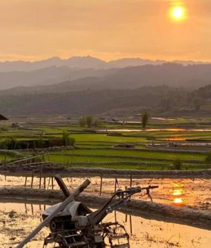 Trekking à Mu Cang Chai 4 jours: La route des rizières en terrasse