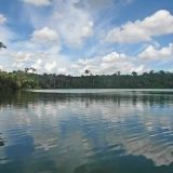 Trek à Ratanakiri 4 jours : Explorez la Jungle et ses Secrets