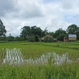 Trek à Ratanakiri 4 jours : Explorez la Jungle et ses Secrets