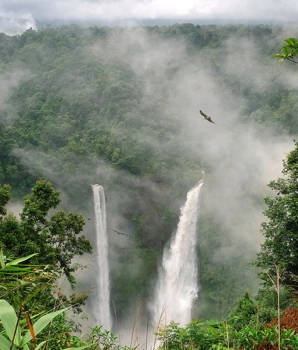 Plateau Bolaven 2 jours : immersion locale