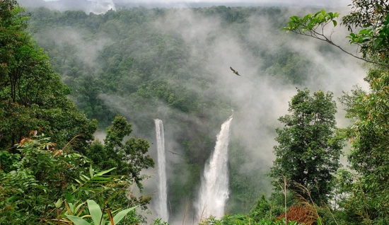 Plateau Bolaven 2 jours : immersion locale