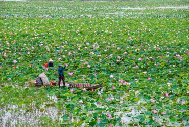 Chau Doc – Vinh Long – Cai Be – Ho Chi Minh Ville (B/L)