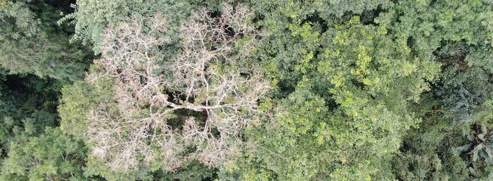 La réserve naturelle de Na Hau