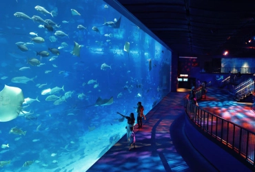 Sentosa – Monde marin et expériences artistiques